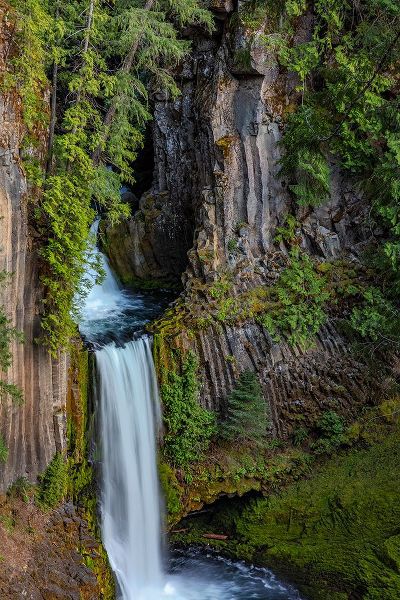 Haney, Chuck 아티스트의 Toketee Falls runs over basalt columns in the Umpqua National Forest-Oregon-USA작품입니다.